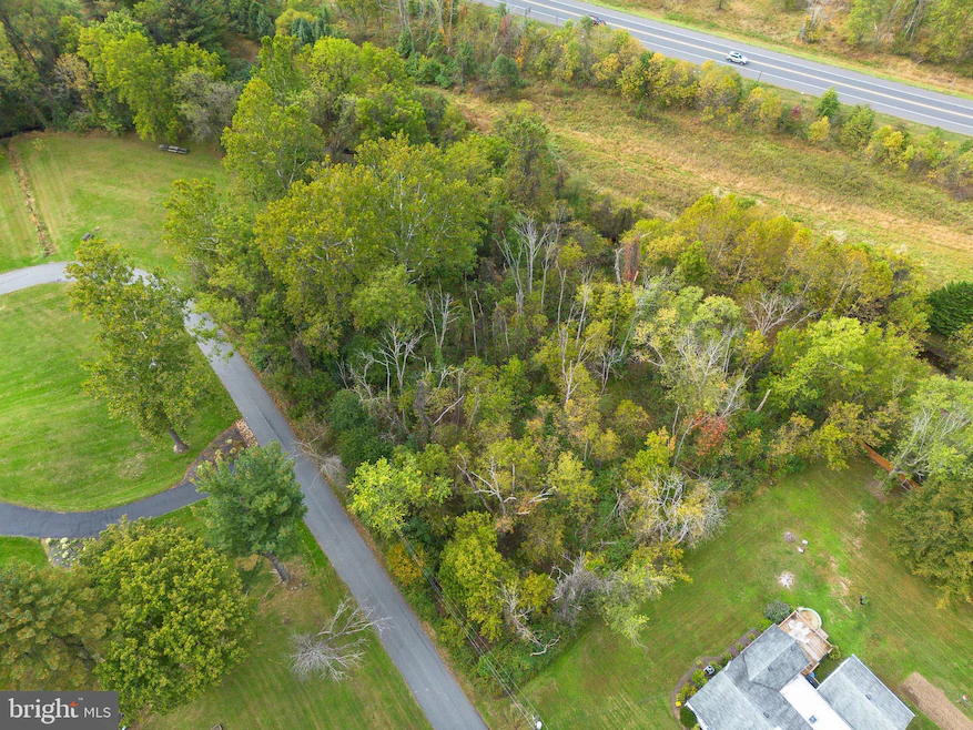 Aerial view of a dense cluster of trees bordered by a highway at the top, with grassy lawns and a curved driveway on the left and a house partly visible at the bottom right.