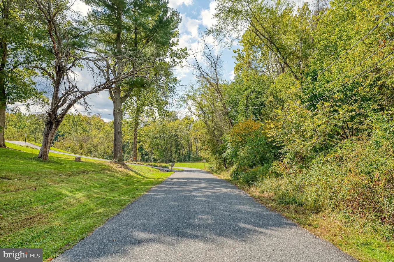 Paved road winding through a park-like area with green grass and tall trees on both sides under a partly cloudy sky.
