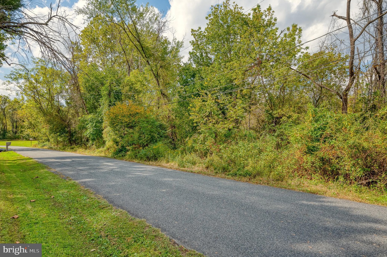 A curved paved road bordered by green grass and dense trees, with power lines overhead and a bench at the left edge.