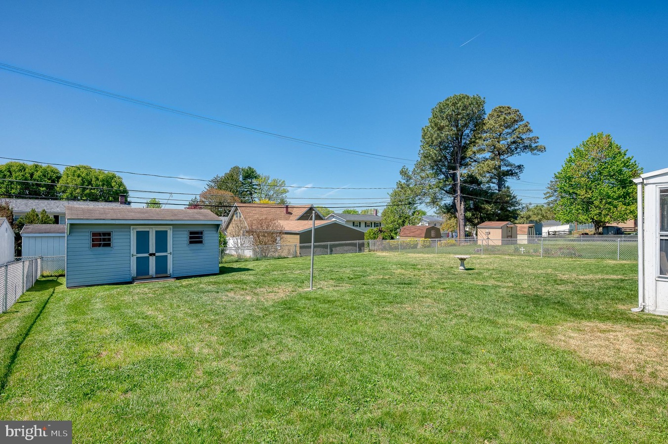 Backyard with a blue shed, clothesline pole, and chain-link fence, green grass under a clear blue sky.