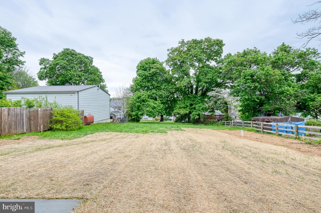 Wide backyard with a dry straw-colored lawn, a gray shed on the left, wooden fences, and large green trees in the background.