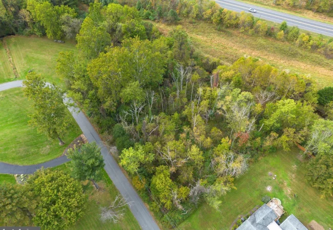 Aerial view of a dense cluster of trees bordered by a highway at the top, with grassy lawns and a curved driveway on the left and a house partly visible at the bottom right.