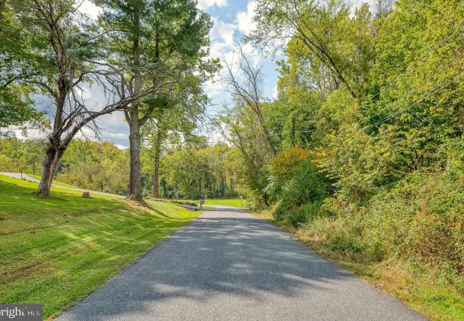 Paved road winding through a park-like area with green grass and tall trees on both sides under a partly cloudy sky.