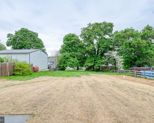 Wide backyard with a dry straw-colored lawn, a gray shed on the left, wooden fences, and large green trees in the background.