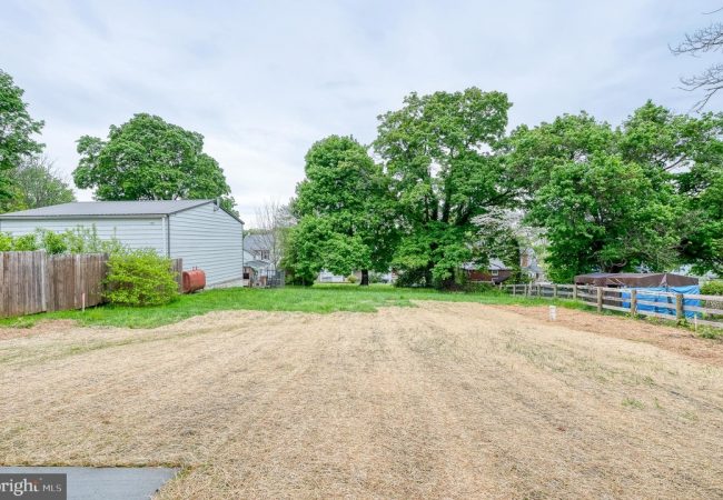 Wide backyard with a dry straw-colored lawn, a gray shed on the left, wooden fences, and large green trees in the background.