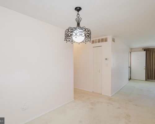 Empty beige-carpeted hallway with a decorative wrought-iron chandelier and a closet door on the right.