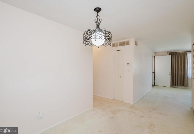 Empty beige-carpeted hallway with a decorative wrought-iron chandelier and a closet door on the right.