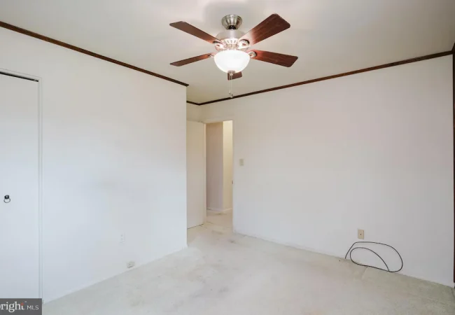 Empty bedroom with white walls, dark wood trim, and a ceiling fan; doorway to hall and closet on the left with a loose cable on the carpet outside the outlet.