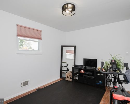 Home gym setup with an exercise bike facing a TV stand, mirror, plant, and a window with a pink blind May be concise