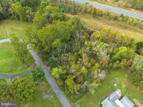 Aerial view of a wooded lot with dense trees beside a road and a house to the bottom right; winding paths cut through the greenery.