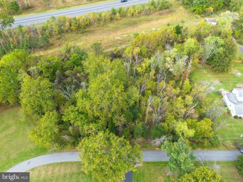 Aerial view of a wooded suburban lot with dense trees, bordered by roads and nearby houses seen from above.