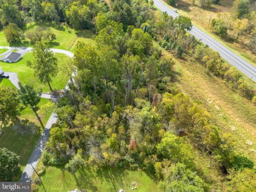 Aerial view of a wooded lot beside a road, surrounded by grassy yards and a few houses at the edges of a residential neighborhood.